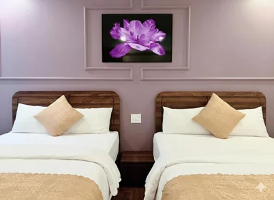 Cat Ba Glow Hotel – Photos 10